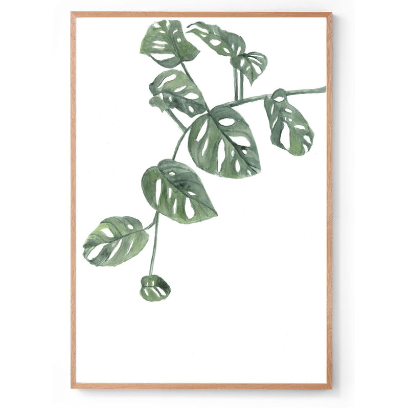 Split-Leaf Philodendron: Original Watercolour Wall Artwork