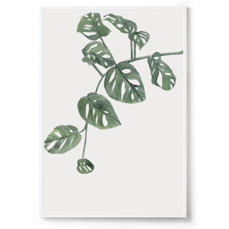 Split-Leaf Philodendron: Watercolour Wall Print