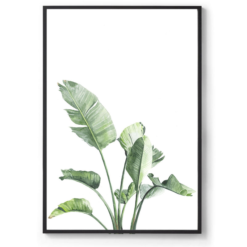 Watercolour botanical art print black frame