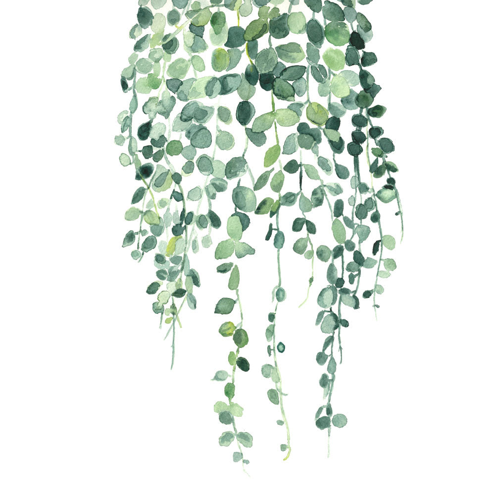String of Nickels: Watercolour Wall Print