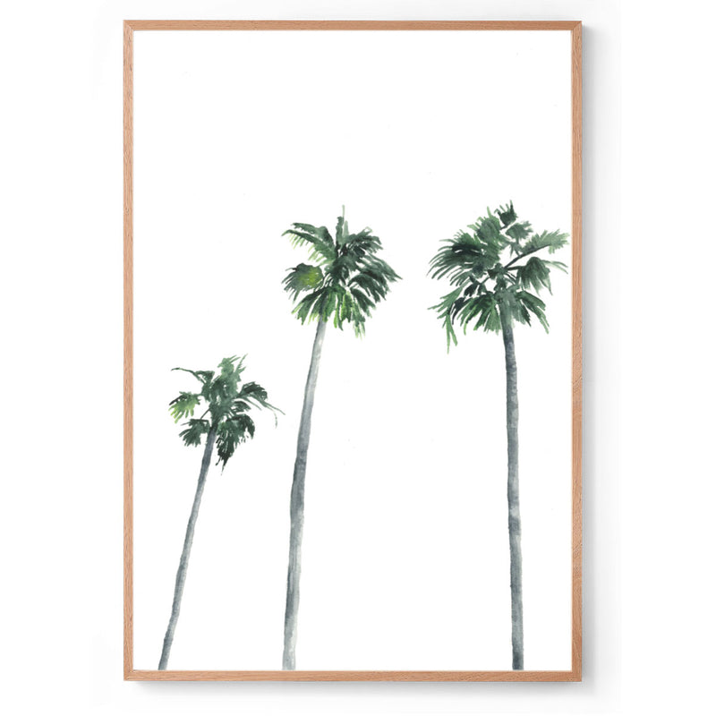 Palm tree watercolour art print oak frame
