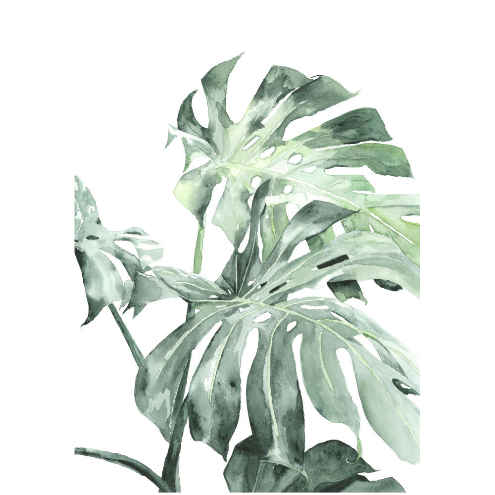 Watercolour botanical art print