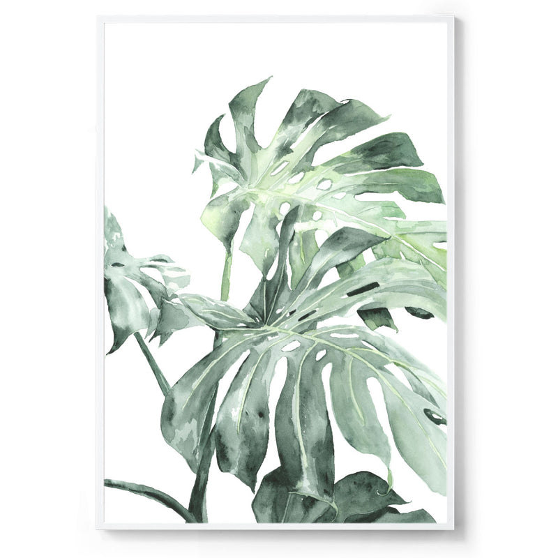Watercolour botanical art print white frame