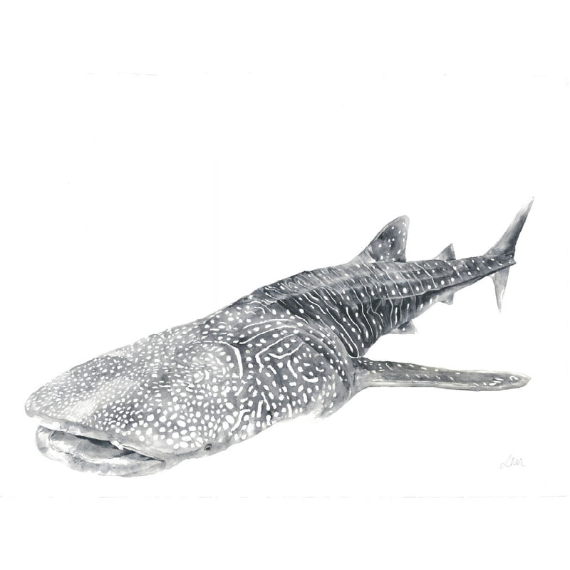 Watercolour whale shark print