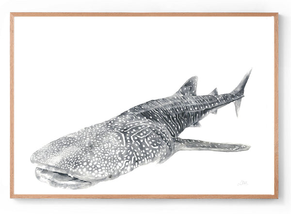 Watercolour whale shark print oak frame