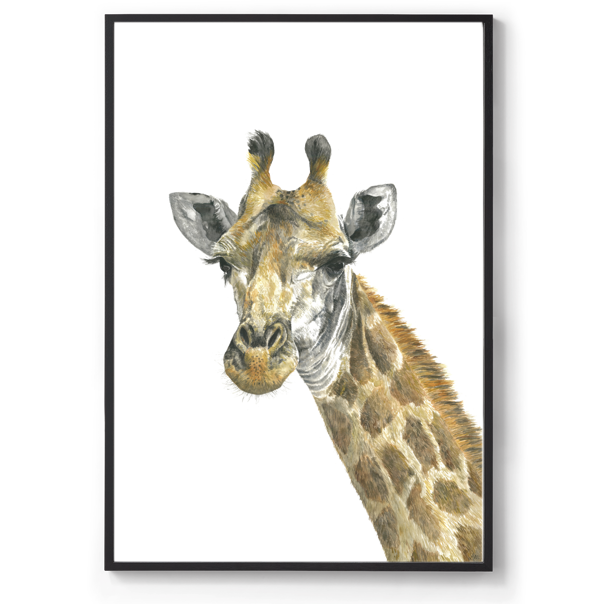 Ralph the Giraffe: Watercolour Wall Print