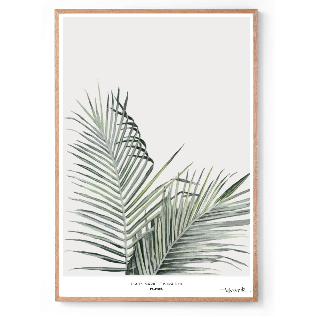 Palmera: Watercolour Wall Print